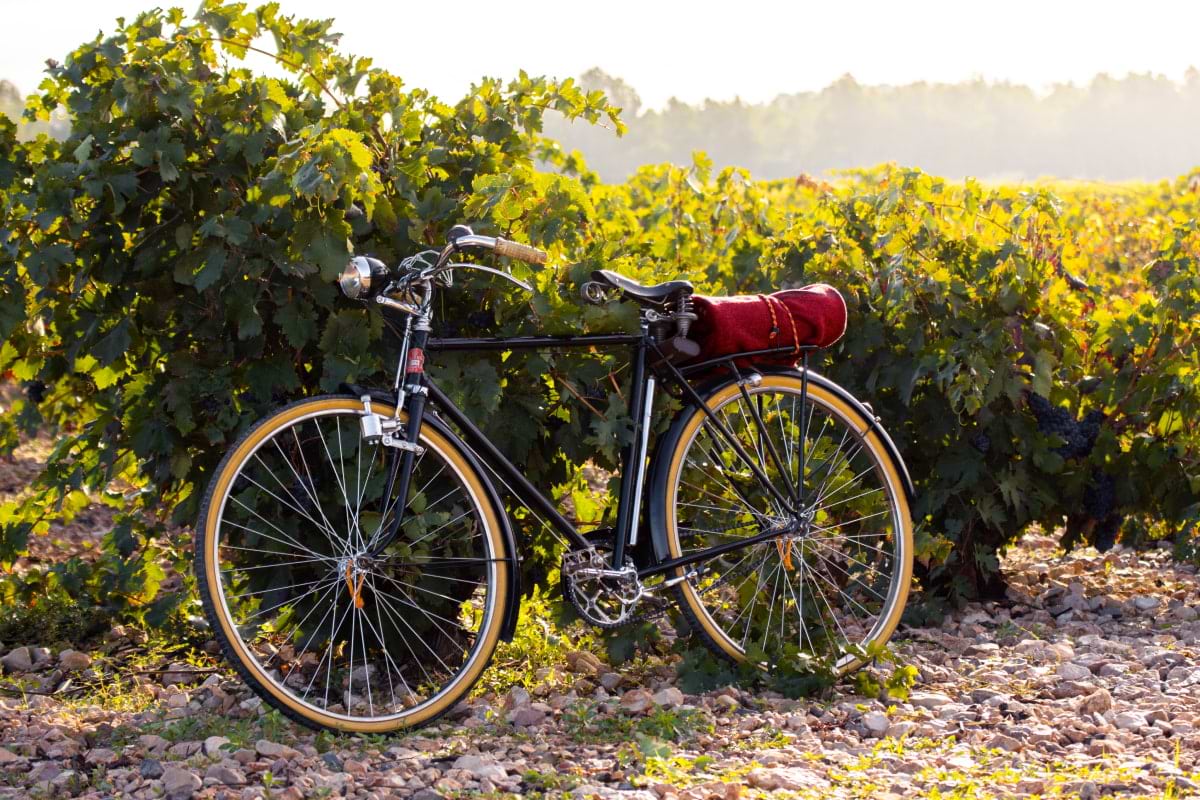 Tri-Winery Bicycle