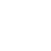 Care Icon