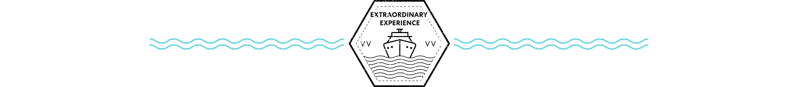 EXTRAORDINARY EXPERIENCES DIVIDER with image of VV Ship