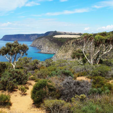 Kangaroo Island (Penneshaw)