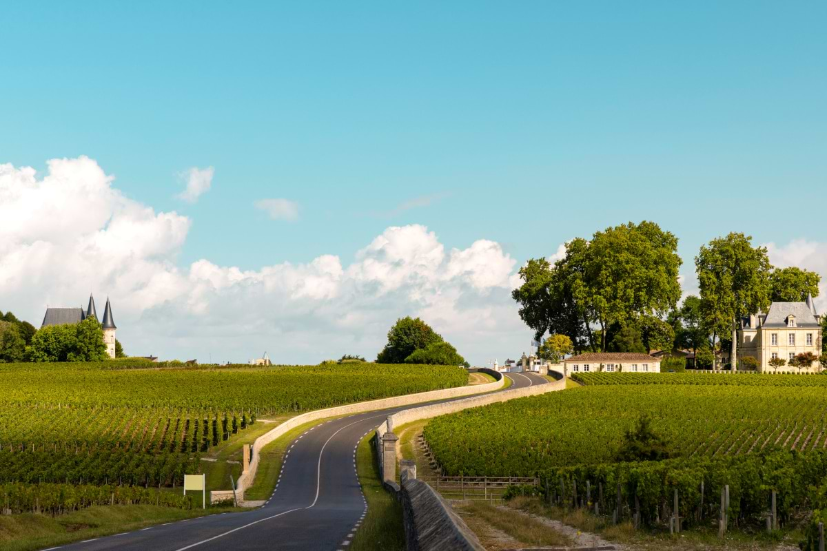 Médoc Vineyards Tour