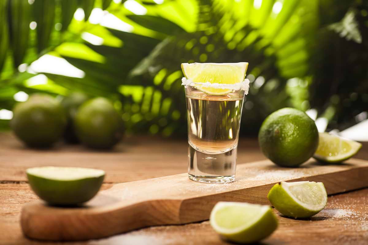 Become a Tequila & Mezcal Connoisseur