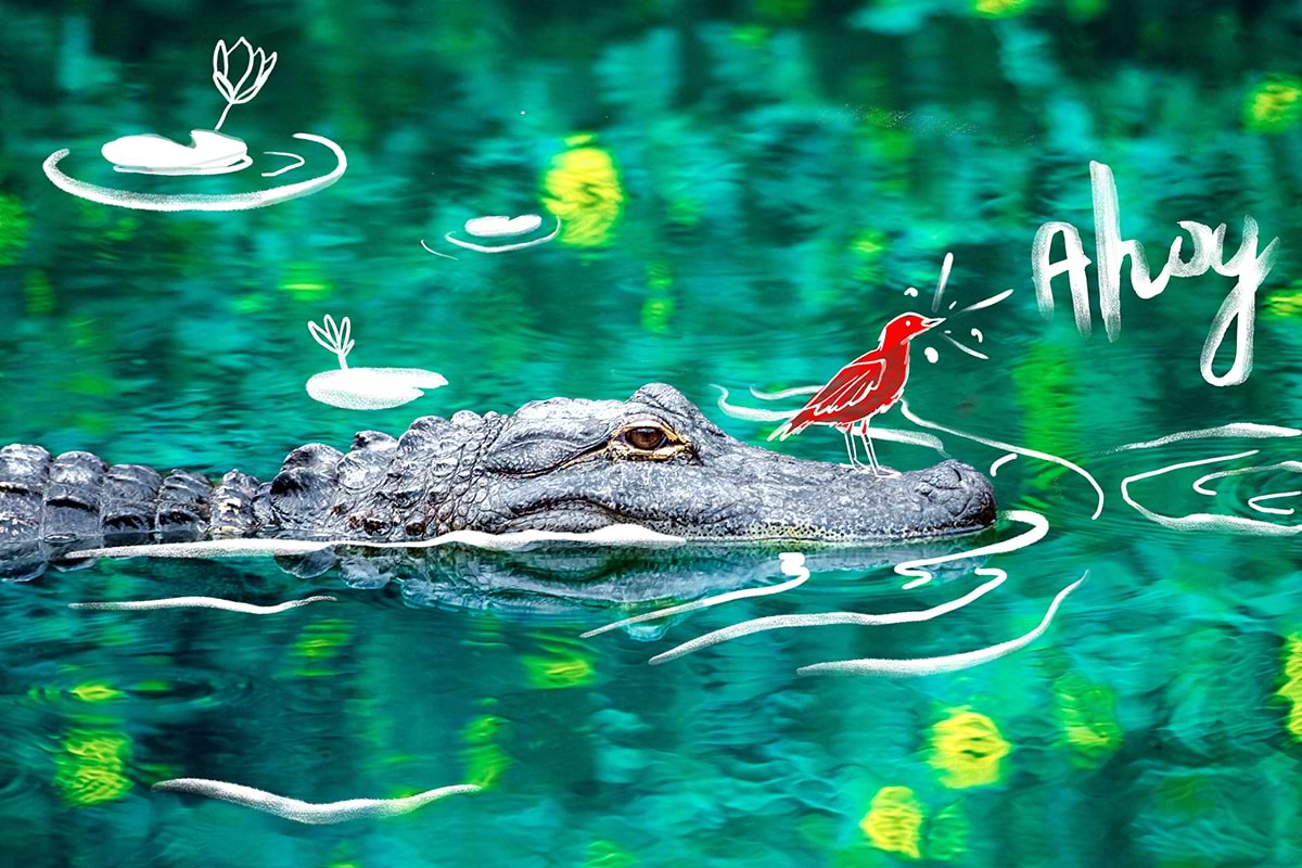 Alligator's head with red bird' graphics overlay
