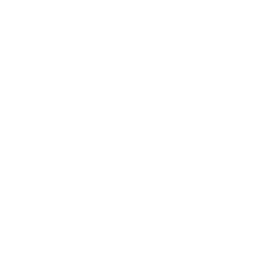 Cruise Critic Icon