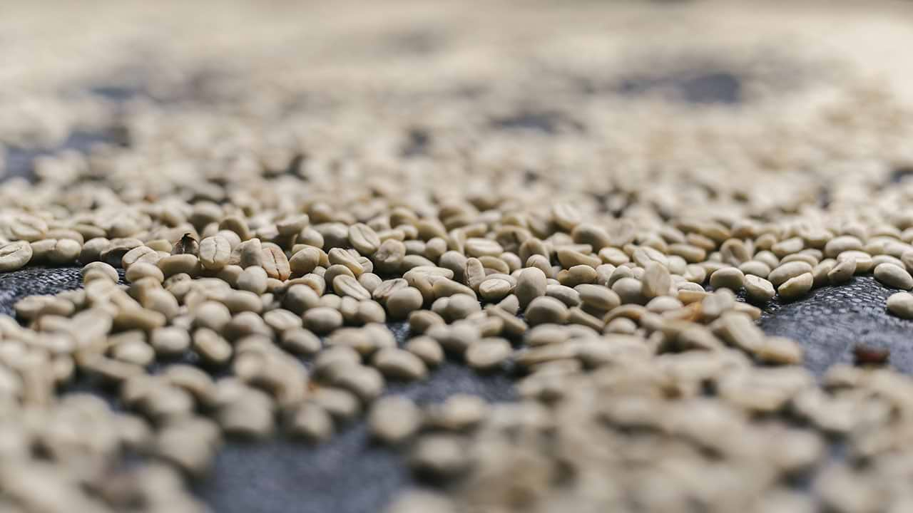 Coffee grains