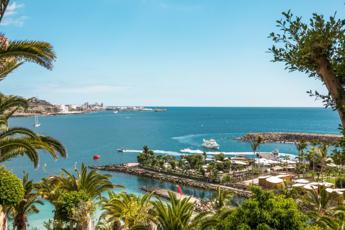Las Palmas Elevate Your Senses at Maroa Beach Club