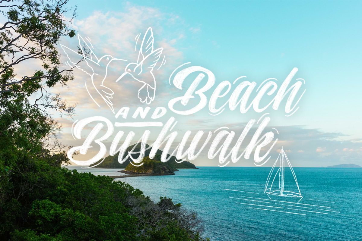 Beach And Bushwalk