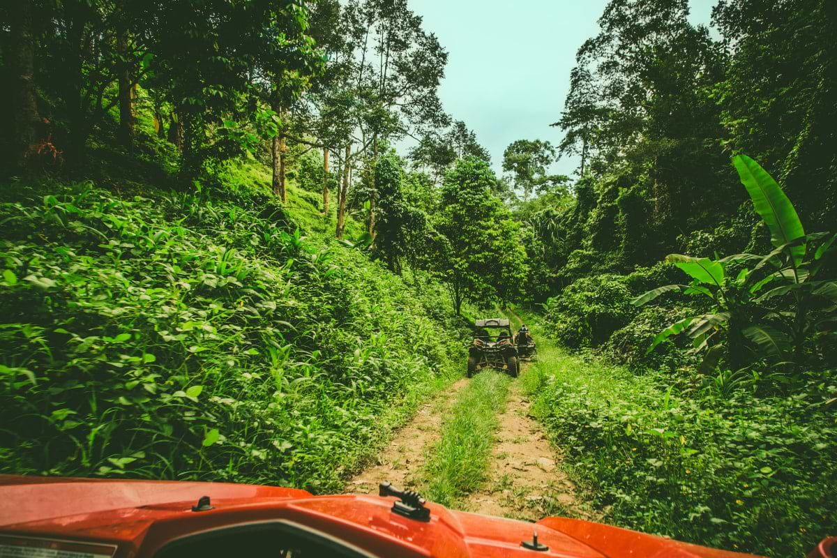 Buggy Adventure & Hidden Beach