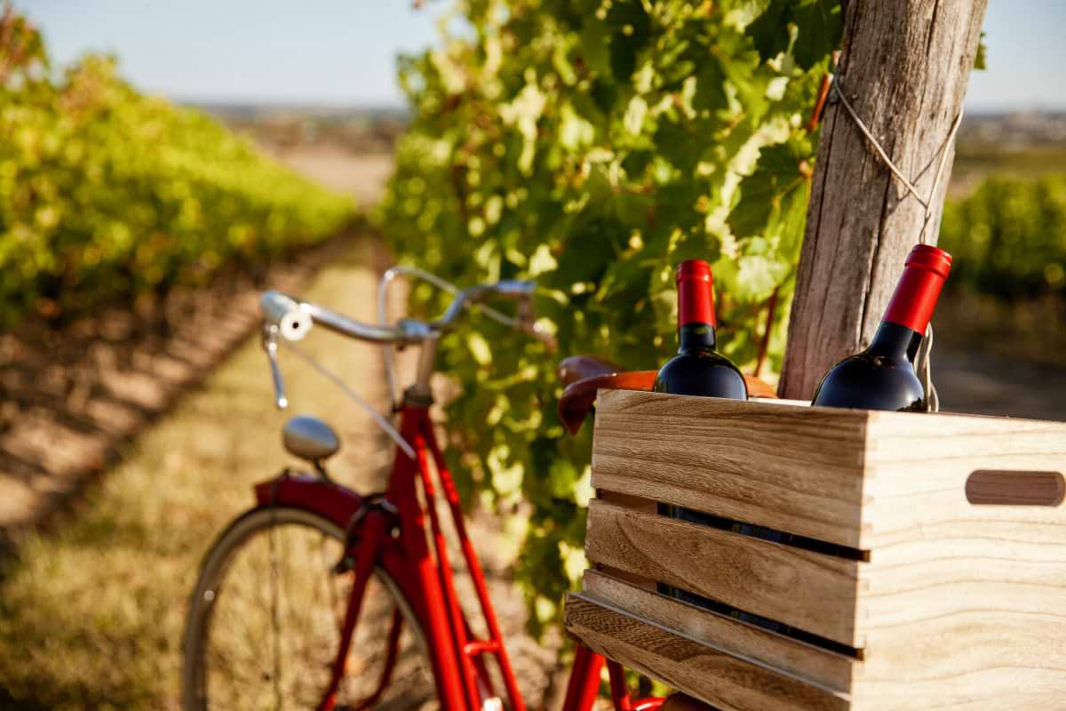 Toulon Wine and Bike Tour