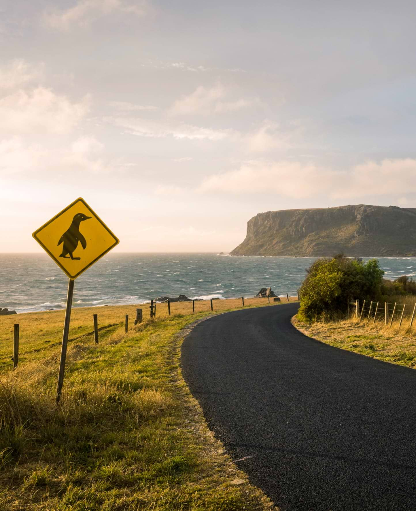 Melbourne to Burnie Itinerary - Road with Pinguin crossing sign