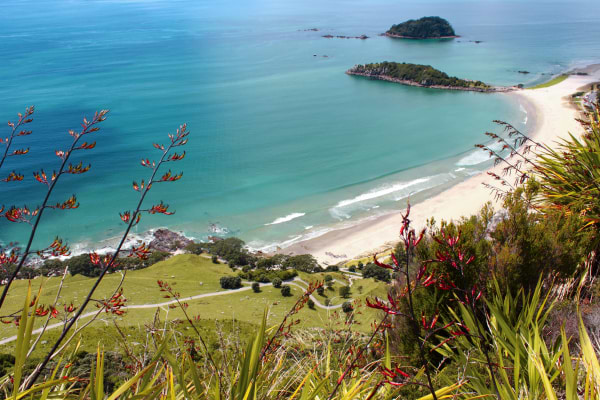 TAURANGA, NEW ZEALAND - Colorful sea and calm beach