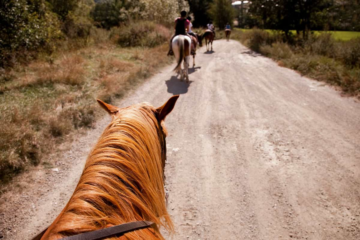 San juan horseback riding