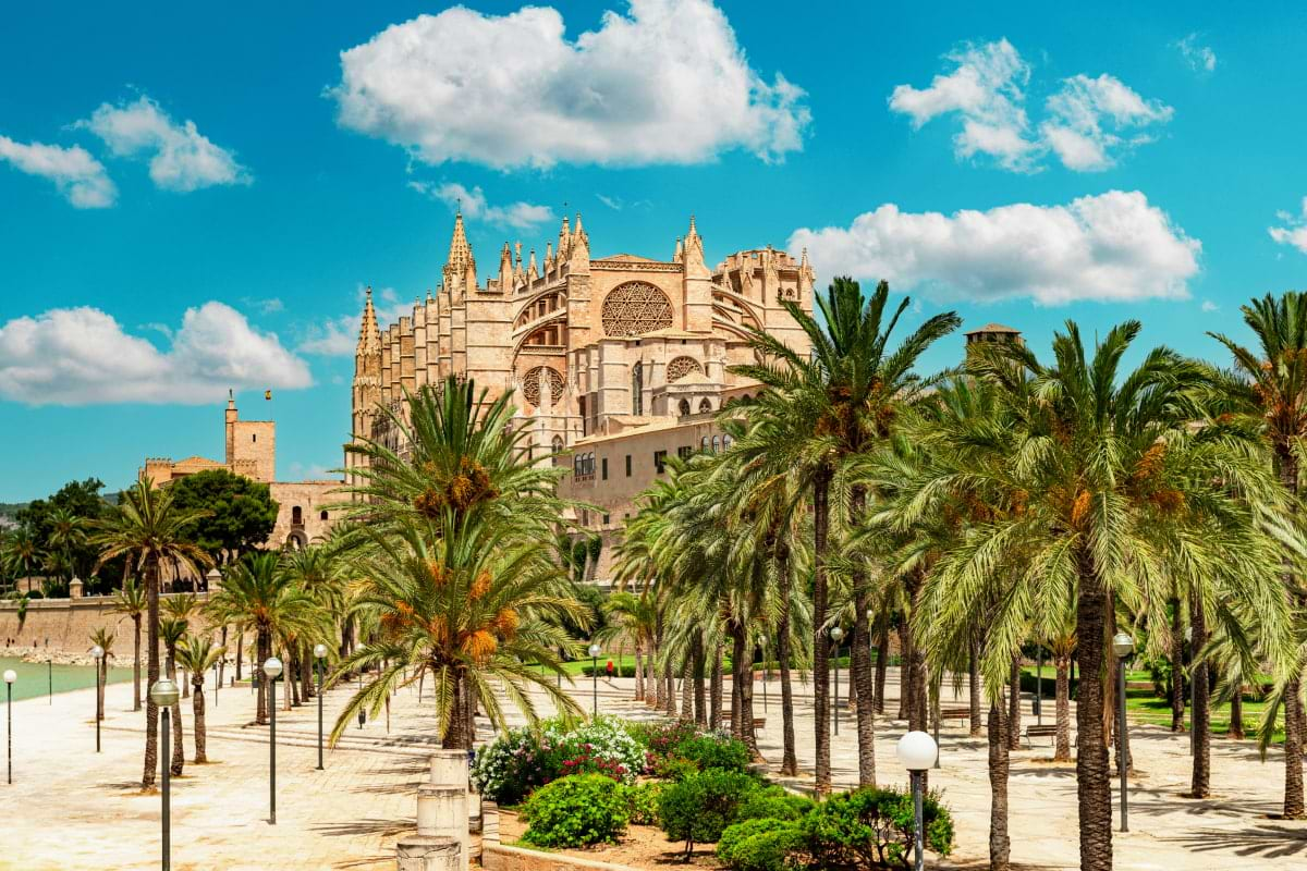 Accessible Old Town, Palma Cathedral, & Market