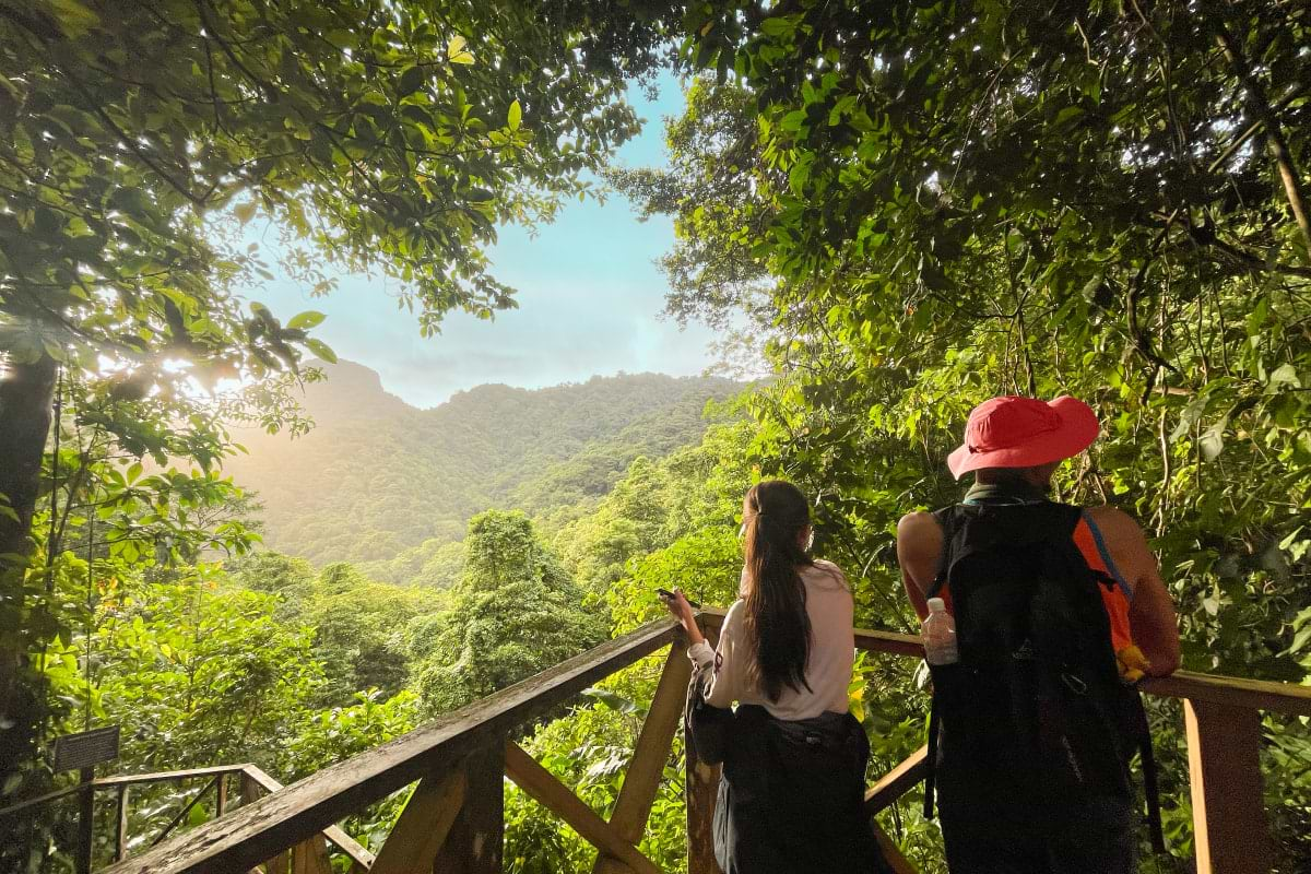 Explore St. Vincent’s Parrot Reserve