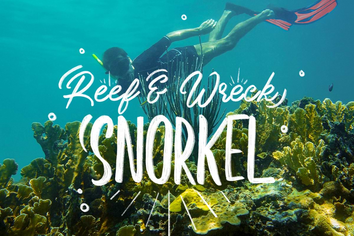 Reef & Wreck Snorkel Tour