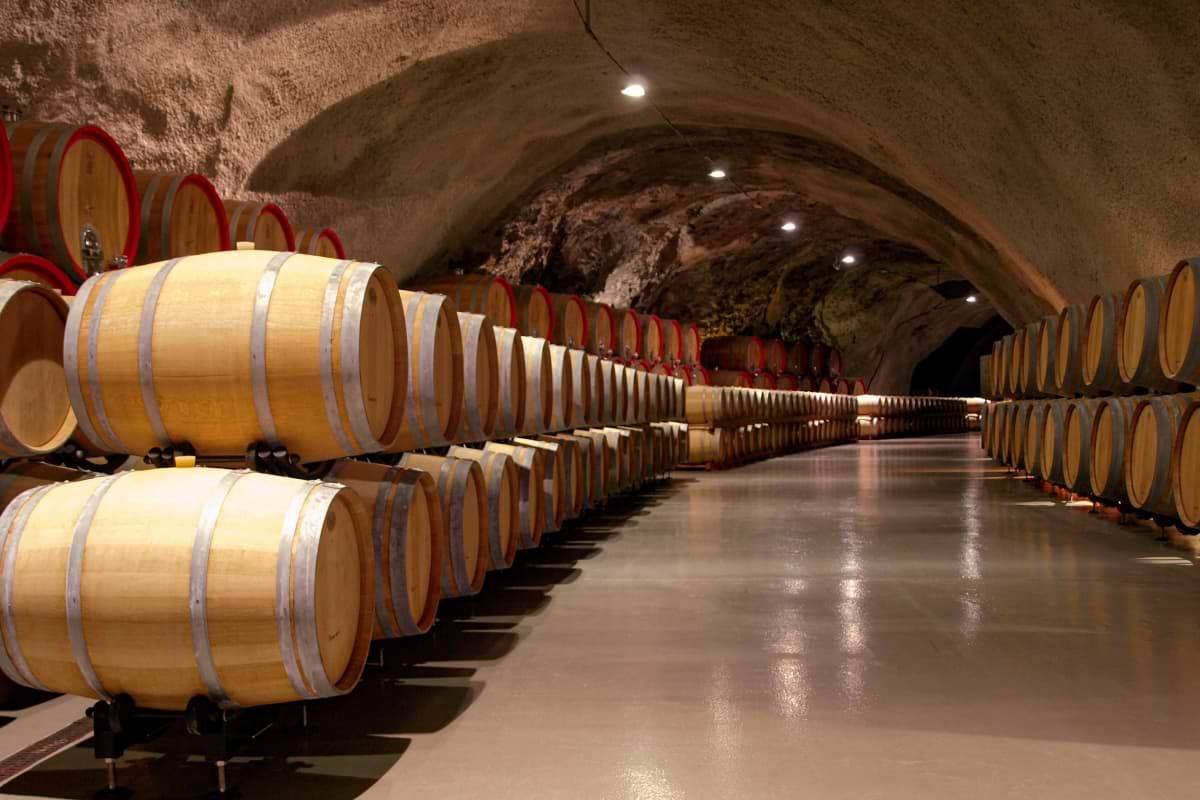 Underground Hanger Wine Experience in Kotor