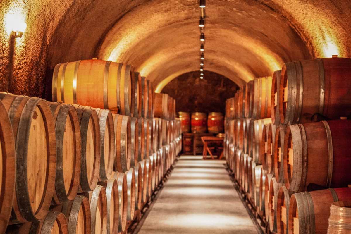 Ancient Sarzana and Modern Wines in La Spezia