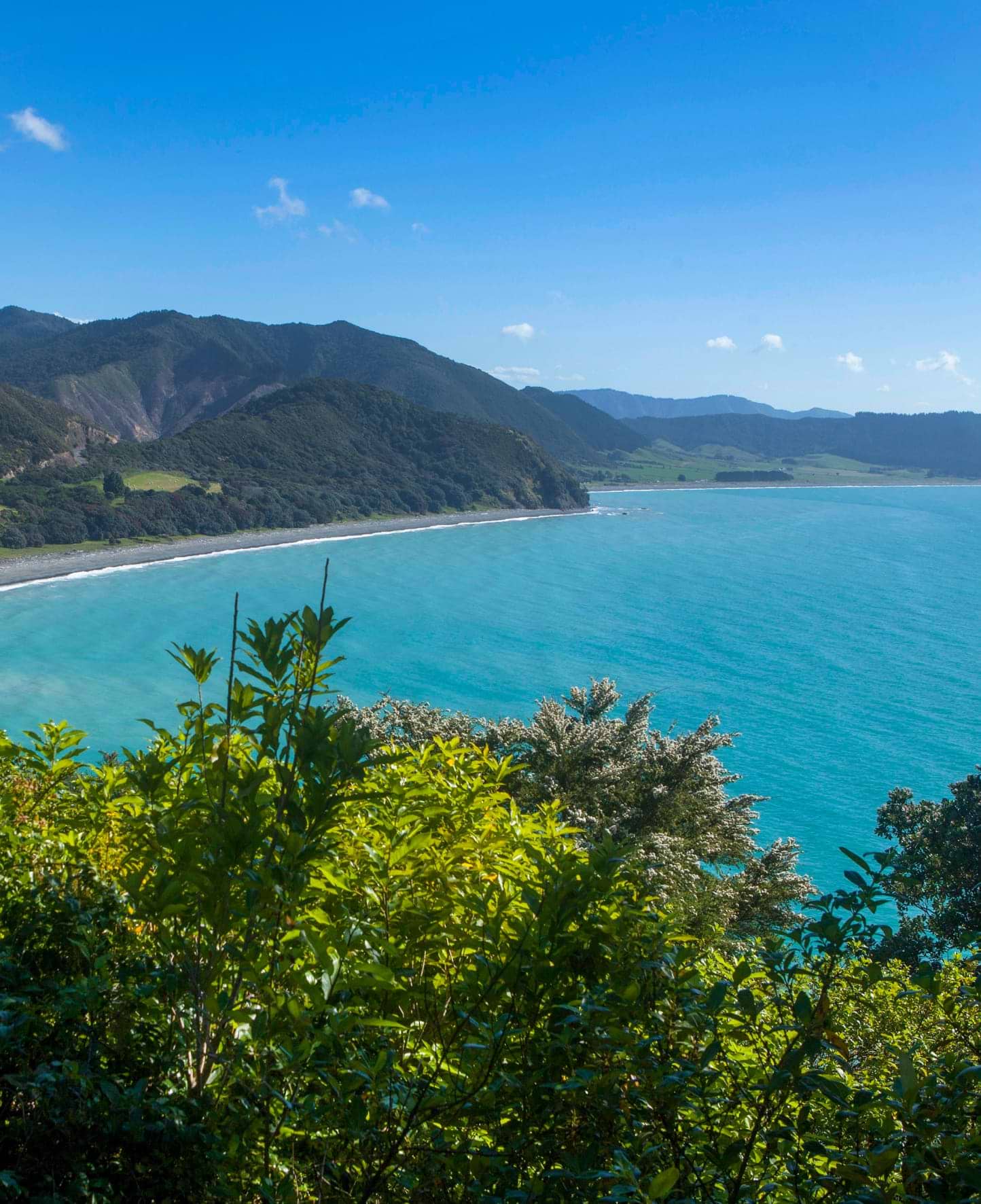 Maori and Australian Shores - Leafy hills and lake