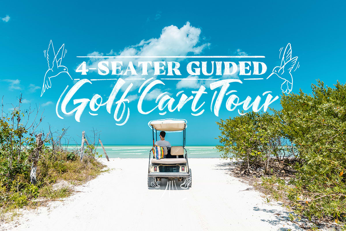 Four Seater Golf Cart Adventure