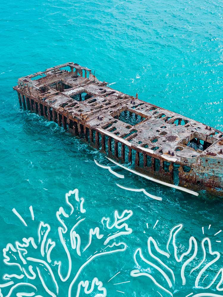 Bimini Shipwreck