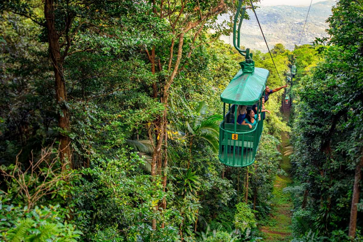 Aerial Tram - Sip Taste & Glide