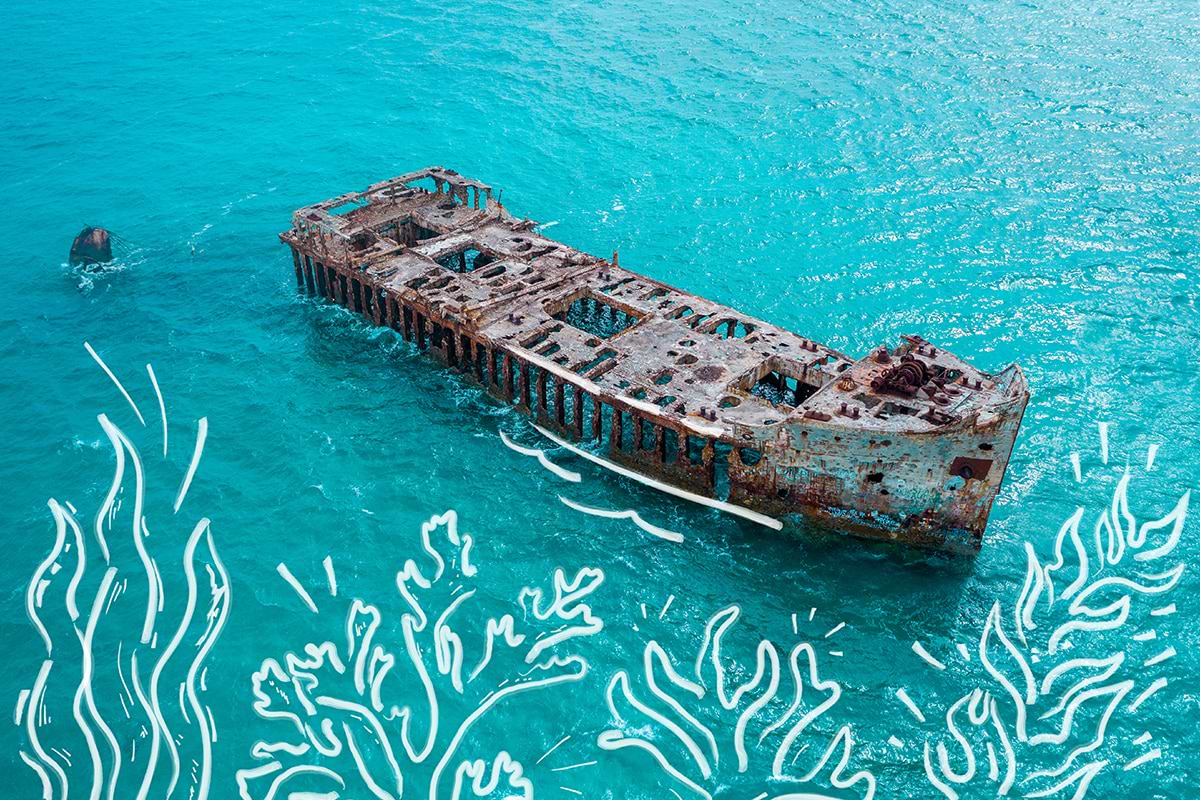Bimini Shipwreck 