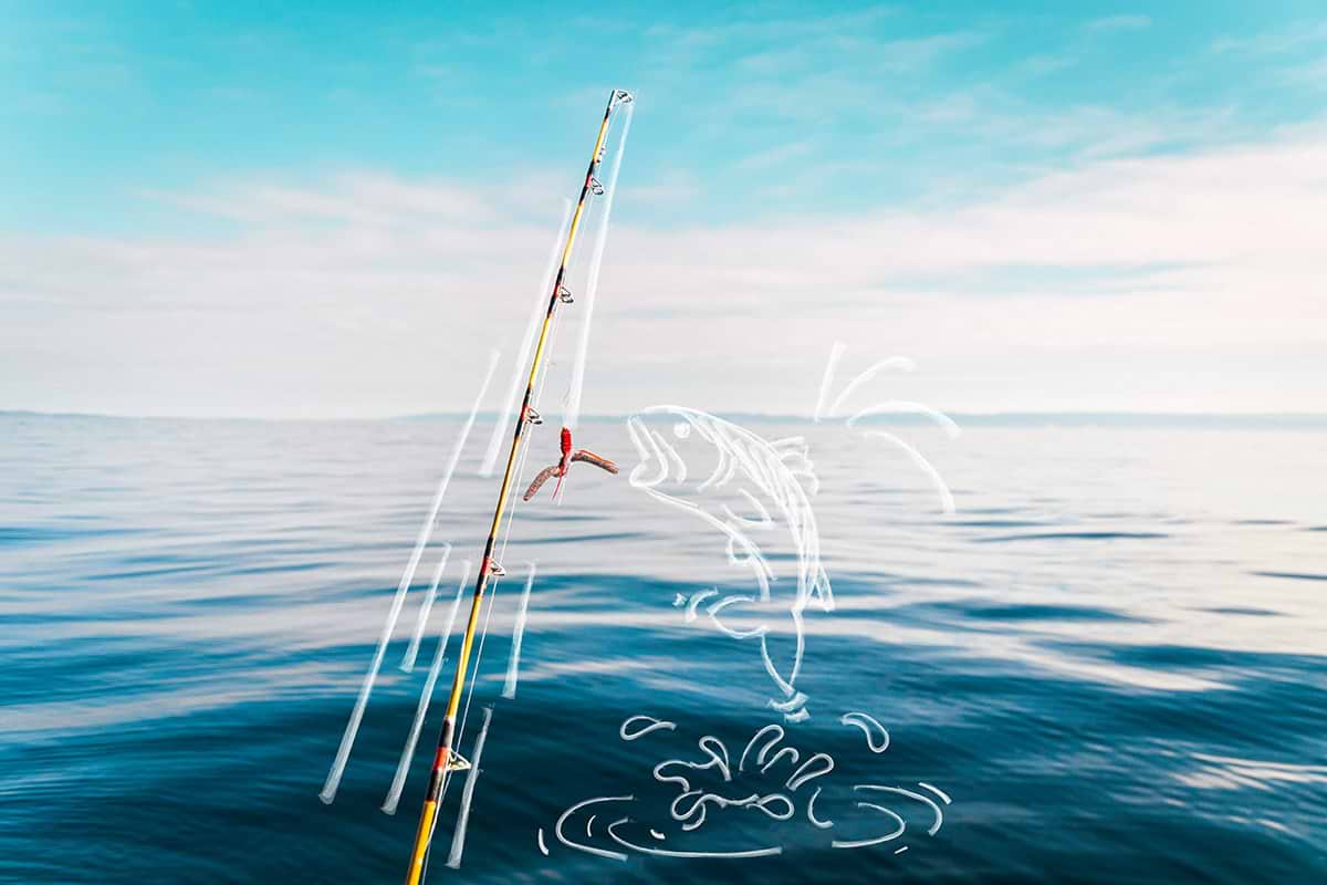 Bimini Fishing Charter Shore Thing doodle