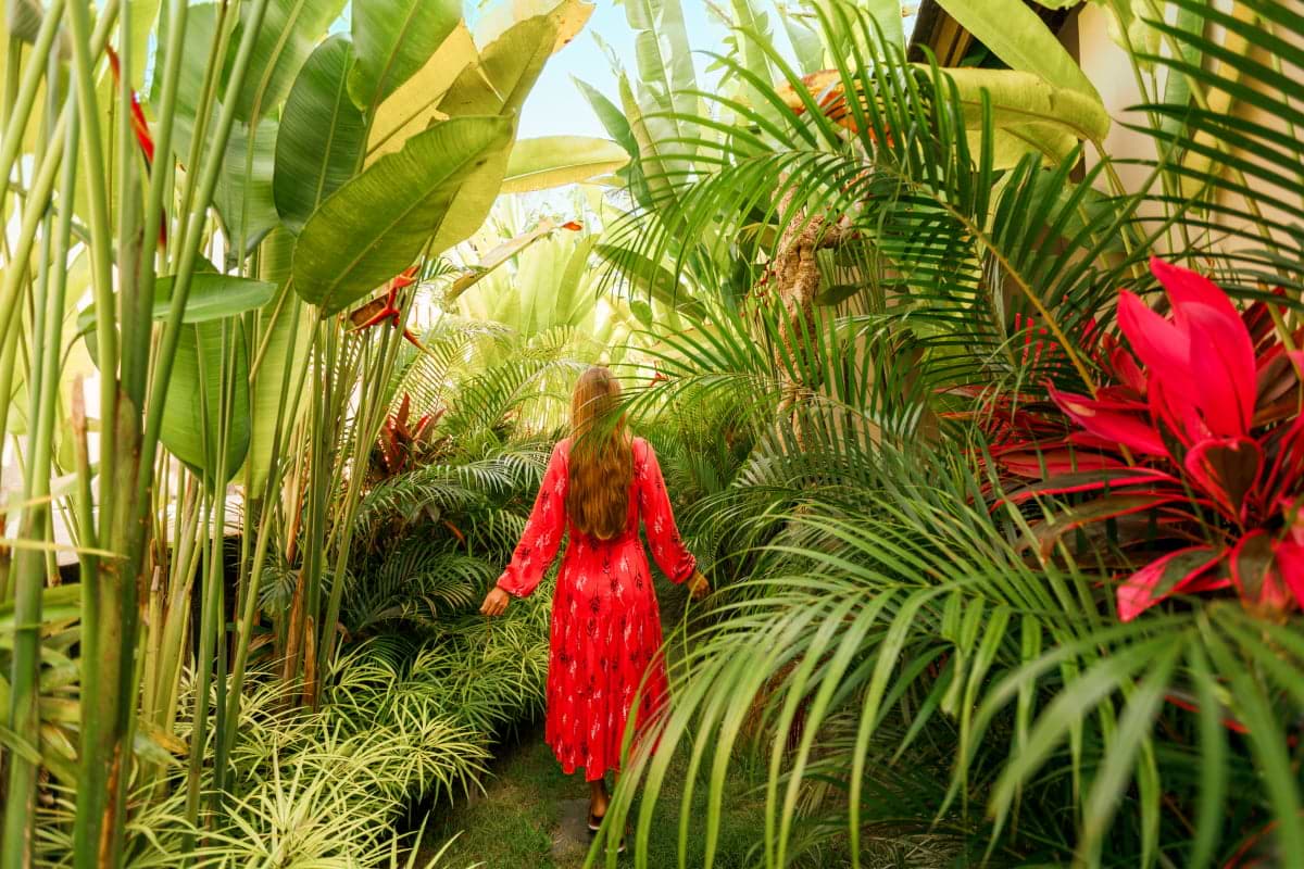 Walking through a tropical garden