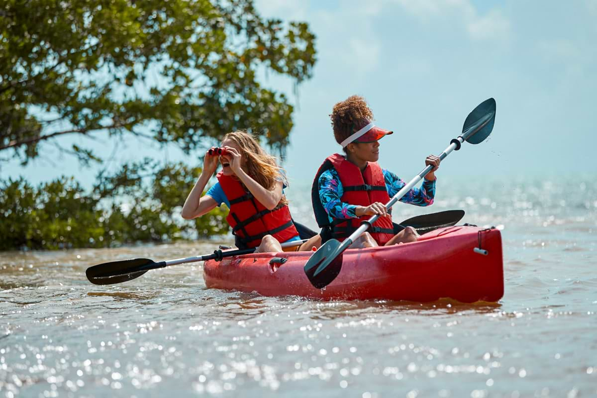 Exploring Key West's Mangroves by Kayak