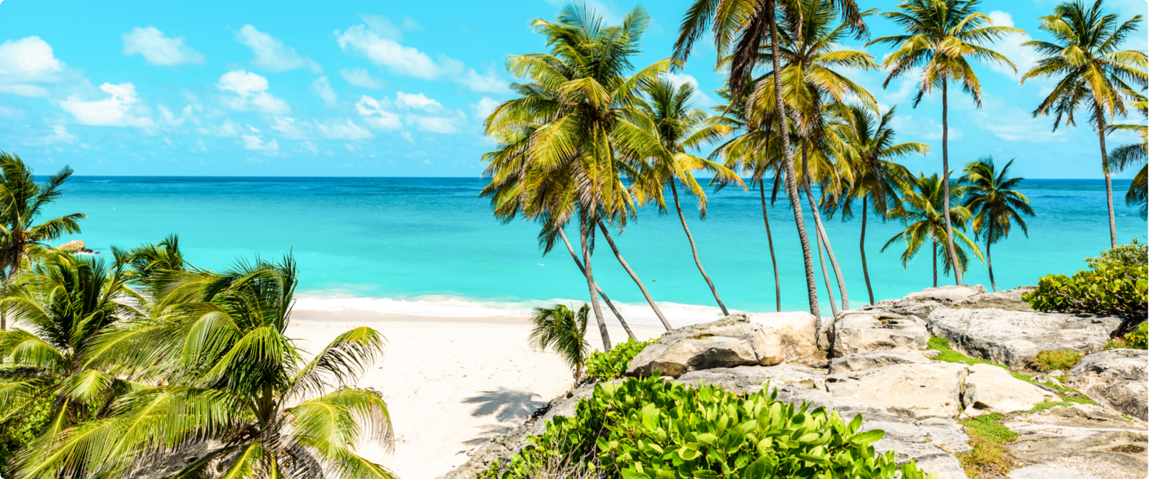 Beautiful beach scene with palm trees and clear skies.