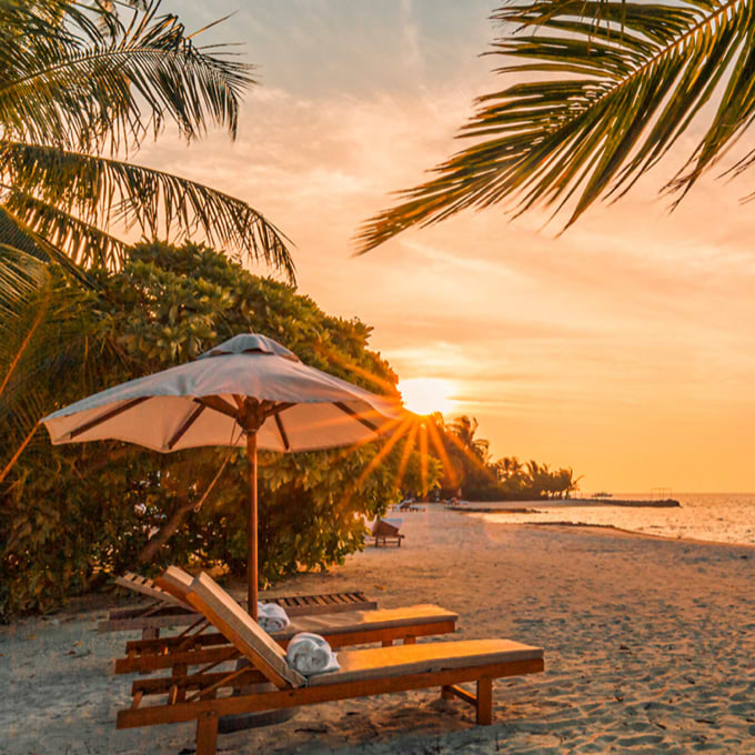 Beach at sunrise with palm trees. Chaise lounges with a beach umbrella are in the foreground.