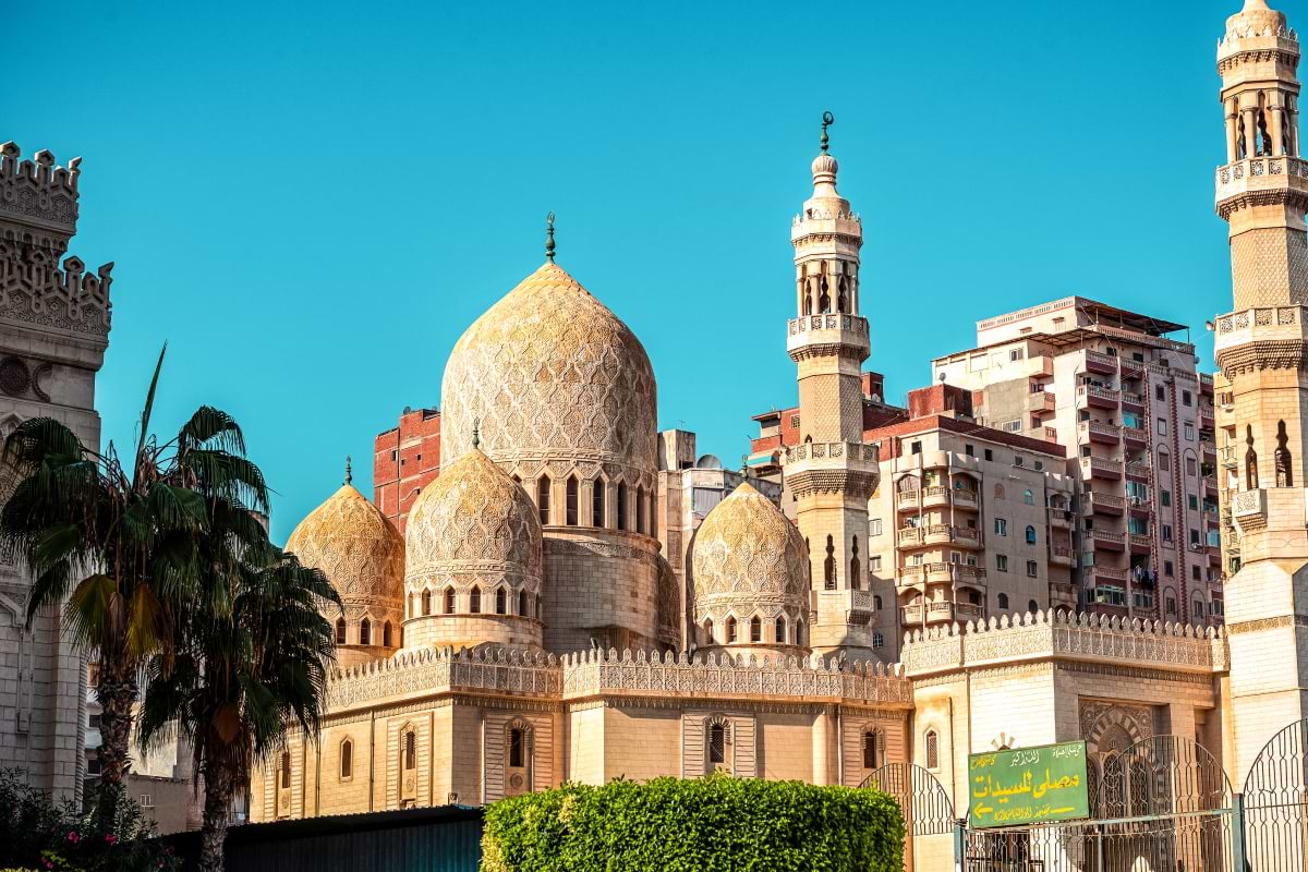 Explore Alexandria city in depth