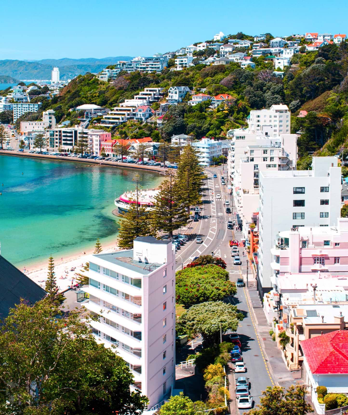 Pacific Fjords and Tasman Treasures - City by the beach with houses on the hills