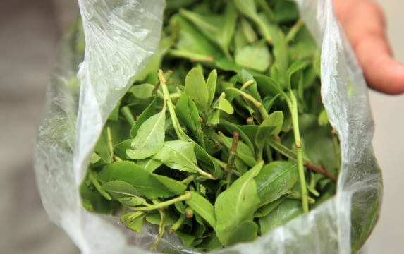 Khat – does it actually affect male sexual performance?