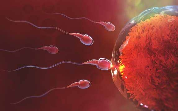 fertility-problems-in-men