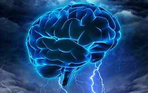 תפקיד המוח במנגנון הזיקפה
