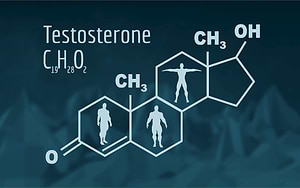 link between testosterone, the time of falling asleep at night and obesity