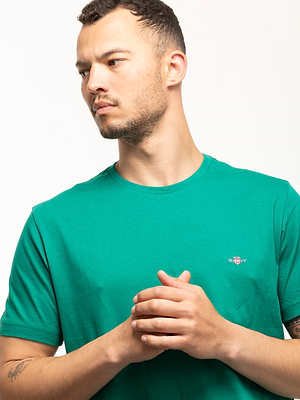 GANT t shirt small logo חולצה בצבע ירוק רולקס