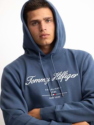TOMMY HILFIGER ligh blue big logo hoodie קפוצון בצבע תכלת רקמה בחזית המוצר - L