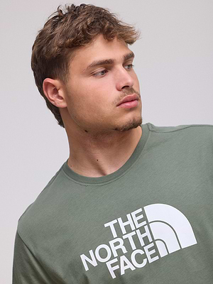 THE NORTH FACE logo t shirt חולצה בצבע ירוק מעושן עם לוגו גדול בחזית המוצר