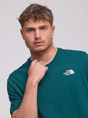 THE NORTH FACE logo t shirt חולצה בצבע ירוק בקבוק עם לוגו קטן והדפס הרים בגב