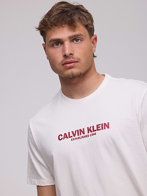 CALVIN KLEIN logo t shirt חולצה בצבע לבן עם לוגו המותג במרכז בולט אדום