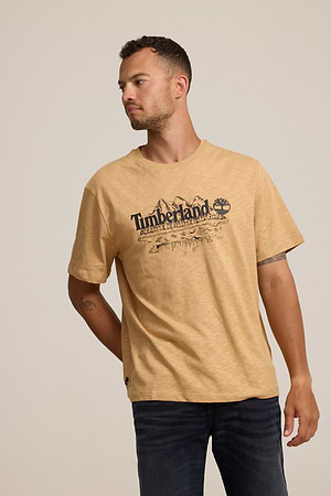 TIMBERLAND logo t shirt חולצה בצבע בז עם הדפס שם המותג בחזית המוצר P-142