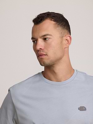 THE NORTH FACE logo t shirt חולצה בצבע אפור בטון בהיר עם לוגו צידי והדפס בגב T-9
