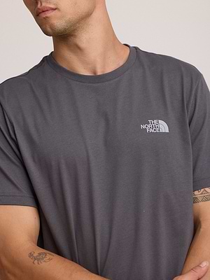 THE NORTH FACE logo t shirt חולצה בצבע אפור בטון עם לוגו צידי והדפס בגב T-10