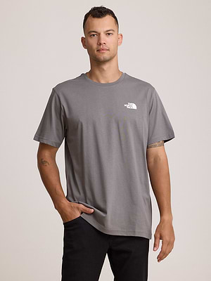 THE NORTH FACE logo t shirt חולצה בצבע אפור בטון עם לוגו ריבוע הדפס בגב T-73