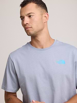 THE NORTH FACE logo t shirt חולצה בצבע אפור עם לוגו תכלת צידי והדפס בגב T-53