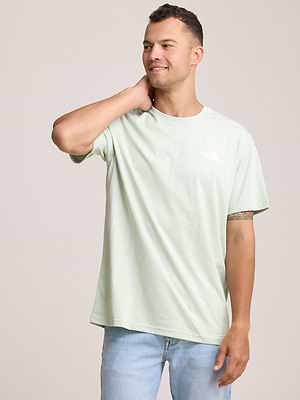 THE NORTH FACE logo t shirt חולצה בצבע ירוק עדין עם לוגו לבן צידי והדפס בגב T-32