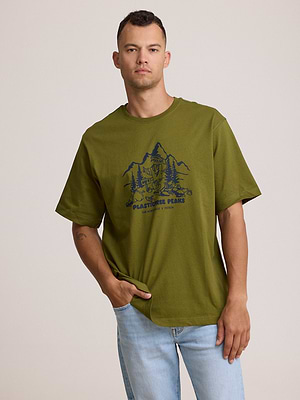 THE NORTH FACE logo t shirt חולצה בצבע ירוק זית עם הדפס הרים בחזית המוצר  T-41