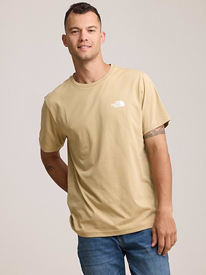 THE NORTH FACE logo t shirt חולצה בצבע בז' עם לוגו לבן צידי T-6